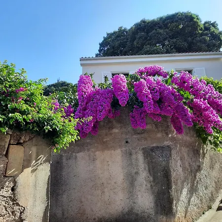 Apartman Pia Mali Lošinj