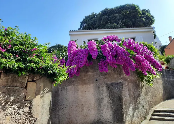 Appartement Pia Mali Lošinj